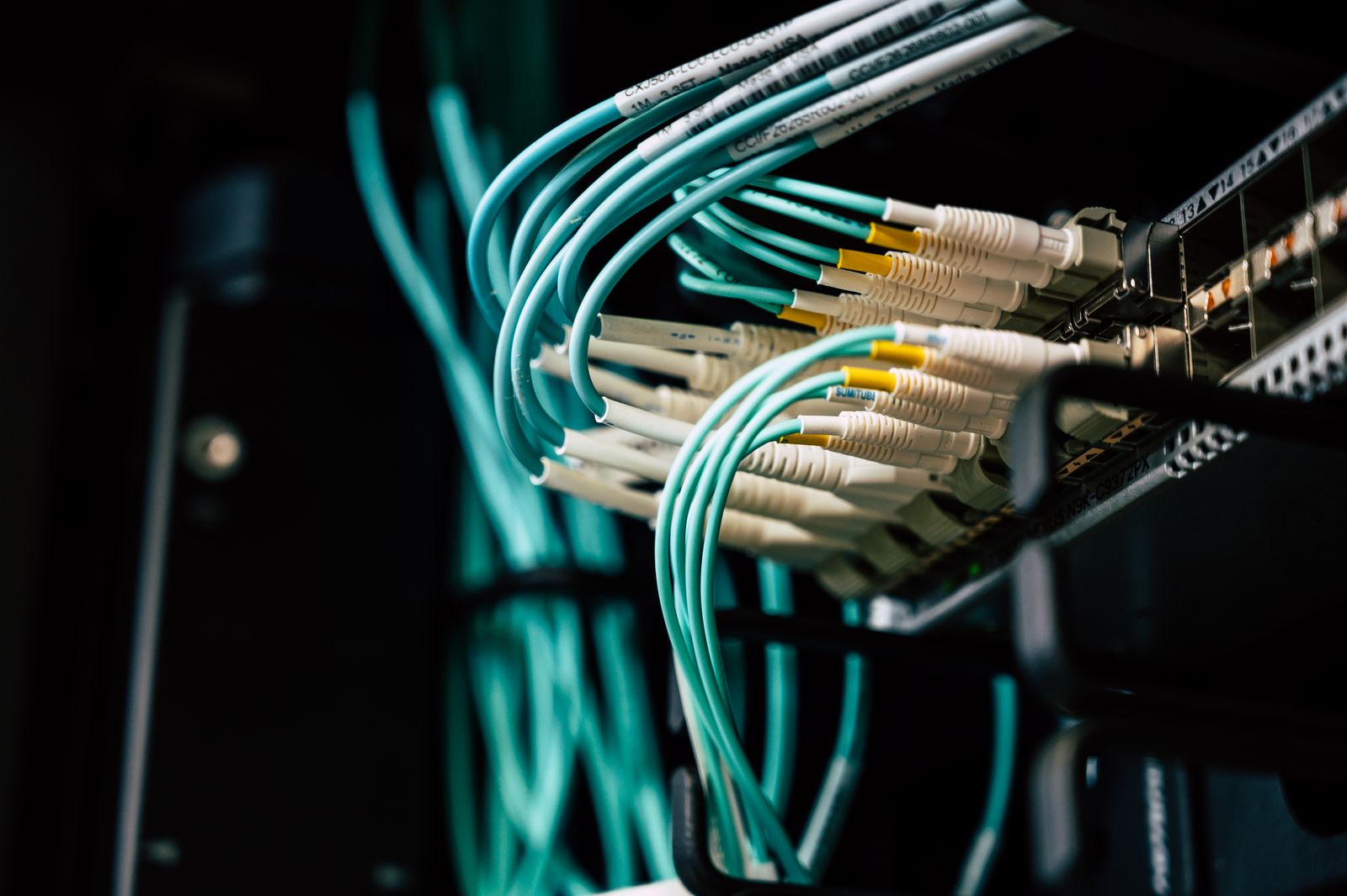 Ethernet cables plugged into network equipment inside a server rack